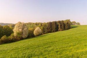 Hier finden Sie eine Liste mit Hausverwaltungen in Velbert / NRW für den Fall, dass Sie auf Verwaltersuche sind.