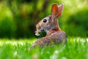 Erfahren Sie, was sich auf dem Blog Hausverwaltung-Ratgeber.de (HVR) zwischenzeitlich getan hat.